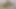 Güzel Kolombiyalı özel seçmelerde