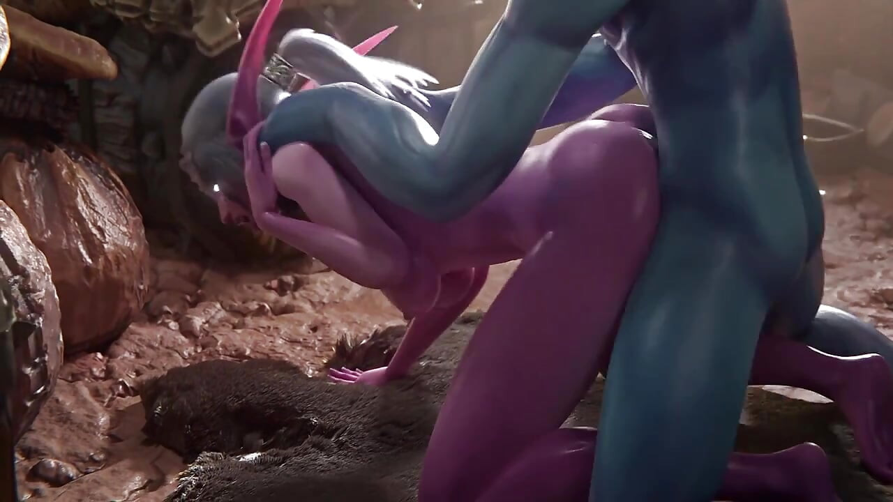 Night Elf