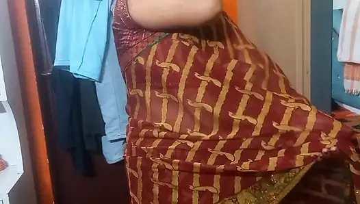 Hintli kadın güzel bir sari giyiyor.