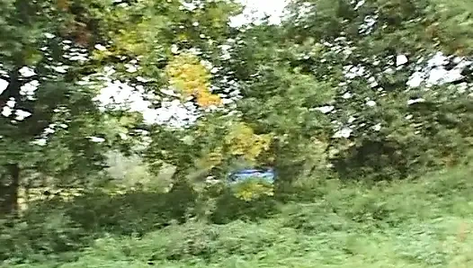 Sevimli sarışın piliç açık havada sert yarak emiyor