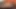 Adriana Chechik emiyor ve her pozisyonda sikişmeden önce götünü parmaklıyor