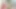 Düz göğüslü travesti Marcela Ragonne makineye monte dildo alıyor