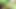 Hintli seksi ateşli karımla en iyi Hintli oral seks