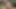 Risky Forest Bath Quickie - Almost Caught Fucking