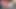 Xunami femboy ile büyük boşalma yakın çekim göt domaltmalı