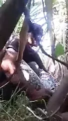 Hint kız arkadaş becerdin içinde the jungle