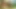 Lez Asya ps milf anally oynamıştı ve kedi yaladı tarafından milf