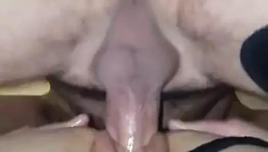 Seks bulgaristan bulgaristan