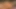 Seksi travesti Bianca Reis dildo götüne sıkışırken mastürbasyon yapıyor