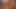 Dee ve kedi yavrusu