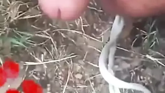 Pakistan büyük eşcinsel