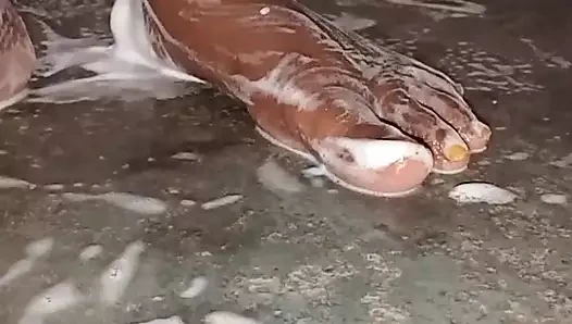 Ateşli Hintli evli kadın banyo yapıyor