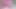 Pembe külotlu osuruk - o kadar yakın ki kokusunu alabilirsiniz