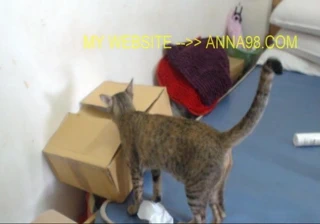 Riskli doğum günü kamu ohmibod mastürbasyon ve yüz