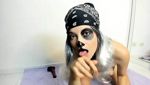 Bugün göreceğiniz en sadık ve itaatkar