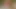 Neulich im Swingerclub in Koeln