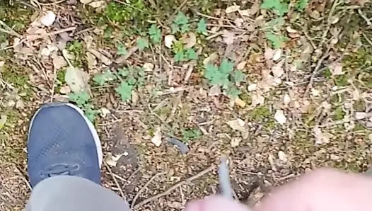 küçük peynirli kesilmemiş horoz sağladım