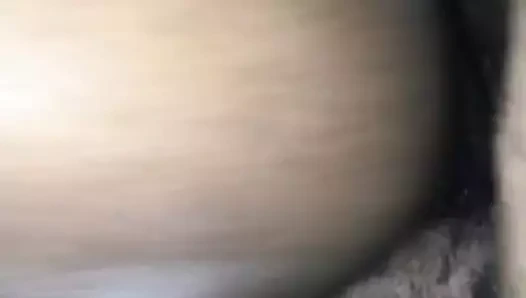 Bölüm 2 iyi kedi eş