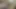 Yahudi İsrailli sharmuta Arap yarağı alıyor