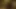 Candy Alexa wait