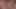 Babe jinekolog araçları ve pembe bir yapay penis ile denetlenen kedi var