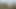 Dışarıda sevişmeyi tercih ediyorlar