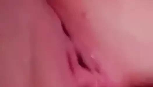 Ma chatte dodue bir besoin yardımcısı