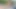 Bif yarak jmac kalın elly la bellas götüne büyük bir döl attırıyor