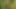 Plan baise a lunettes dans la foret