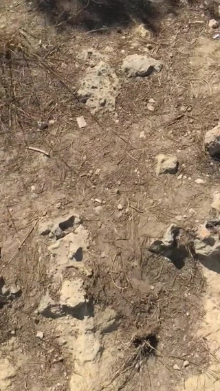 Kız arkadaş ile güzel göt içinde mallorca büyük memeler