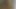 Onu kedi cebinde beyaz taşaklar