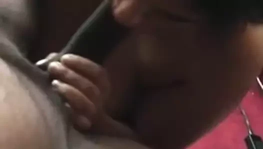 Hint emme ve binicilik