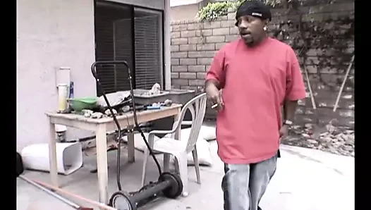 Siyah canavar horoz yok edici!!! - cilt #01