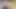 Seksi esmer ıslak amına dildo sokuyor