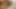 İngiliz bağbozumu büyük baştankara porno