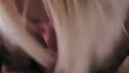 Kirli nikki at bu tekrar