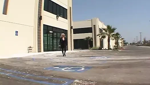 Çeşitli sanatçılar - miltf 12