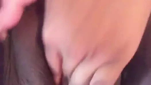 Koelie poes