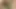 Creampie üzerinde latino eşcinsel yüz