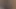 Kupa hile karısının kedi ile oynamak