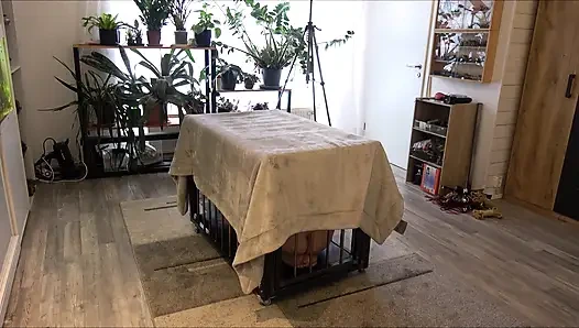 Evet Usta, ben seninim