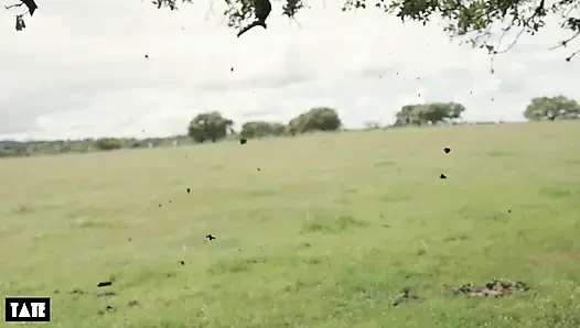 Eski sevgilimle tanıştım ve sonunda tepelerde sakso çekti