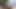 Çirkin şişman karına ihtiyacın yok! Sadece ben!!!