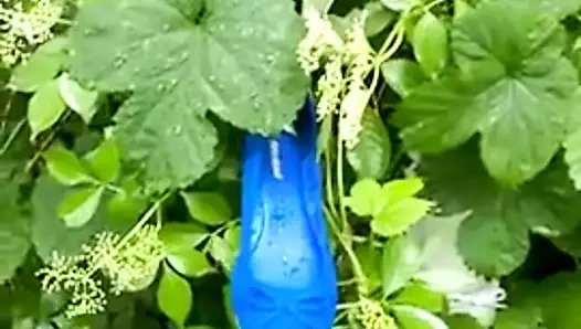 Düzler ağacına övgü