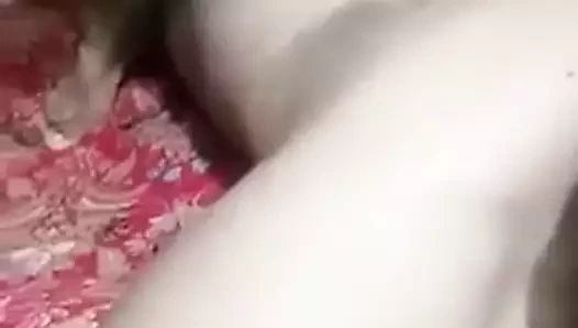 krem kedi