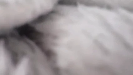 Dik Avustralyalı milf