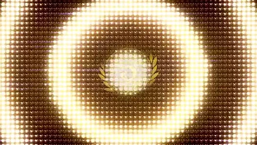 Chrissy marie leotard bondajı