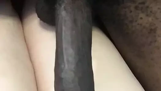 Büyük dev horoz üzerinde bren justic