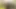 Avusturyalı güzel bayan jackson'ın amcığı porno dan tarafından acımasızca sikiliyor!