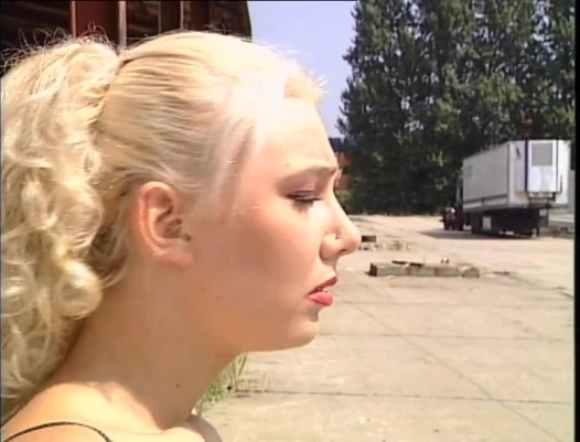 Analangriff ohne Rabatte (Full Movie)